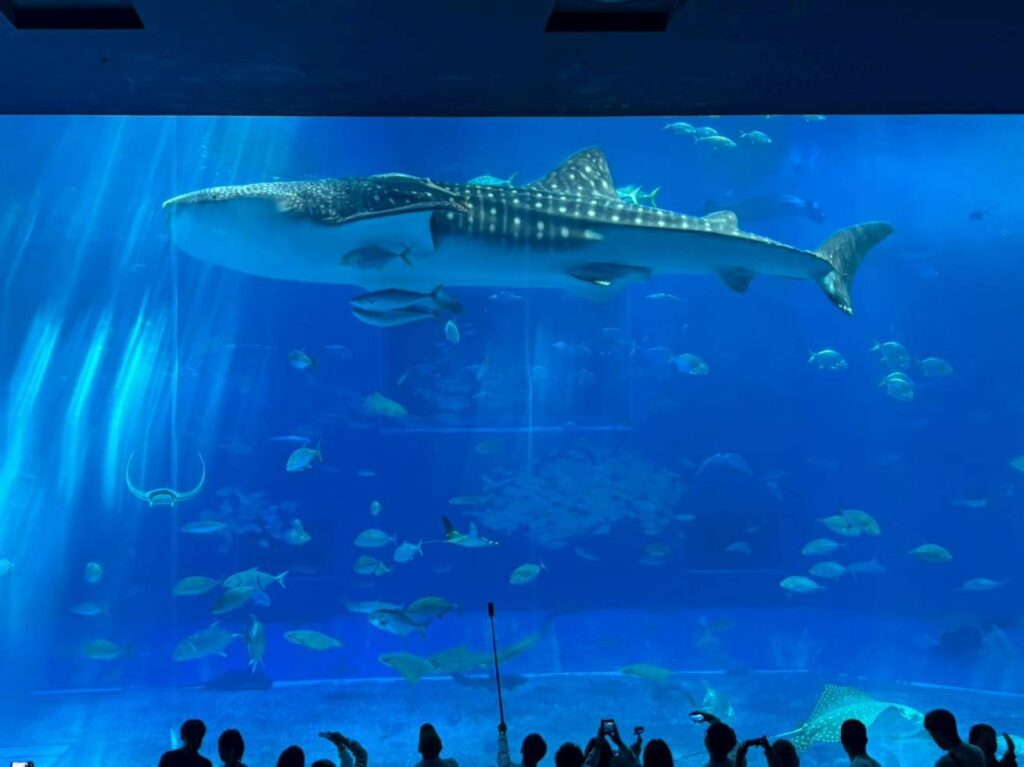 2026社員旅行～沖縄2日目～